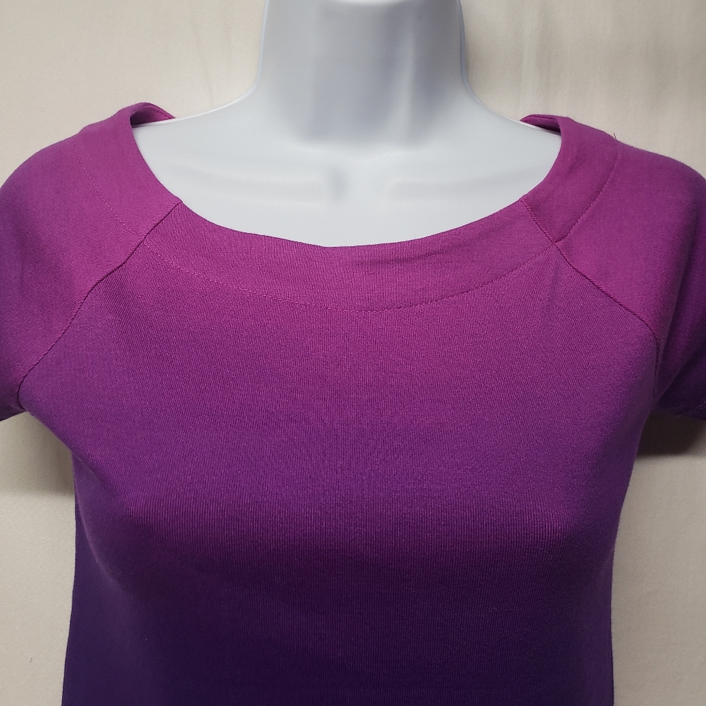 NWT Small Lauren Pink/Purple Ombre Colored Short Sleeve Boatneck Top - Picture 3 of 8